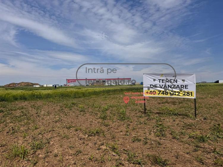 Teren intravilan | 4.900 mp | Depozit Profi | Acces drum betonat - 2