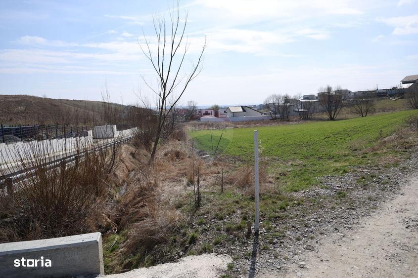 Teren 3,500mp Moara / Strada Pprincipala - 9