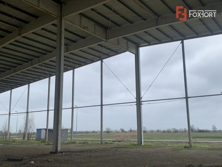 COMISION 0% Hala industriala 5500 mp utili zona de Nord Timisoara - ID V5143 - 2