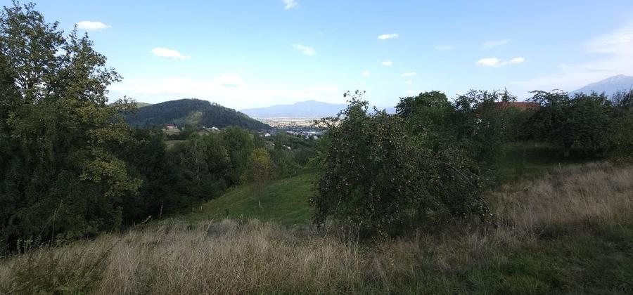 Teren pentru locuinta, casa de vacanta, pensiune, Zarnesti (zona Pleasa), PUZ, 2 - 5