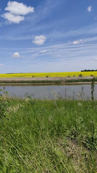 Loturi Teren Intravilan, Vedere la Lac - Frumusani - 4