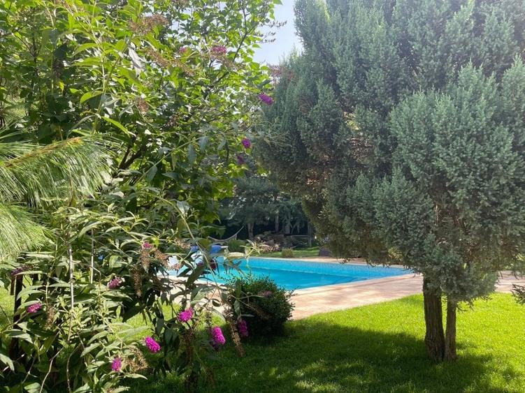 Resedinta deosebita,renovata 2023,P+2,garaj 2 loc, sauna, piscina, teren 1130 mp - 18