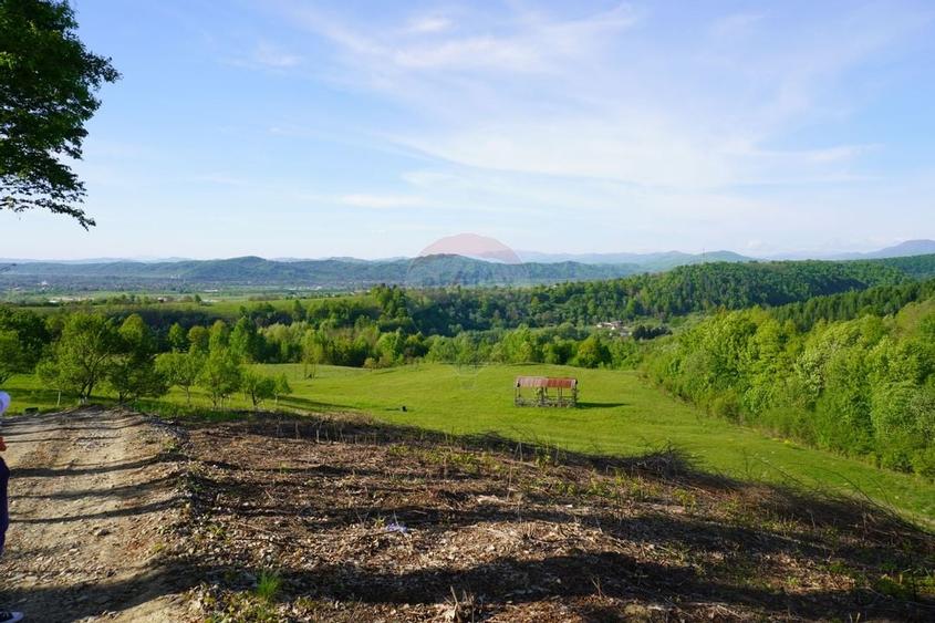 Teren 15,000mp Sighetu Marmatiei / Strada Mocăniței - 3
