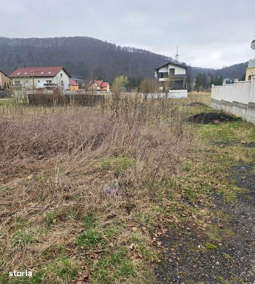 Teren intravilan intre case in Bunloc, langa padure 604 mp - 7