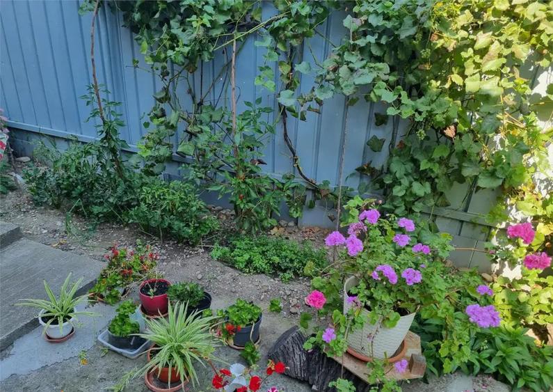 Garsoniera in Vila CEnTRaL - 4