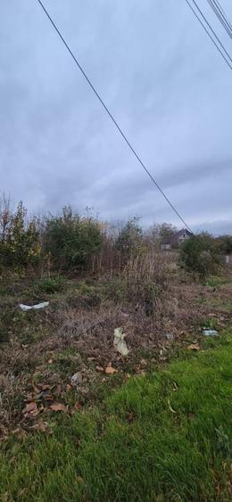 Teren intravilan 2220 mp , Soseaua Prieteniei - 4