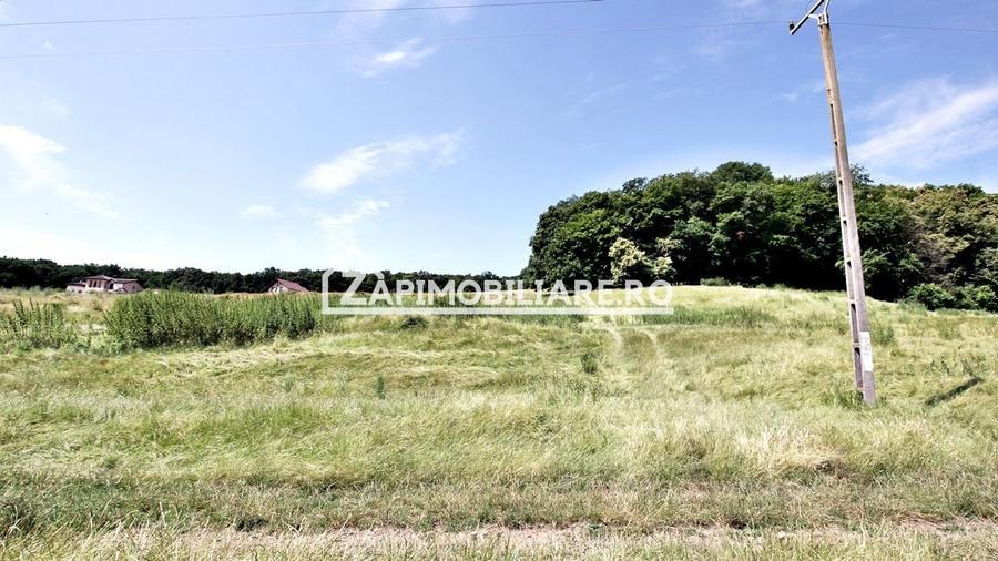 Teren 9.600 mp.17 euro mp deschidere la drum 200 m. - 3