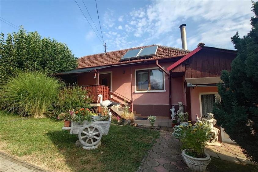 Casa cu Gradina, Parc si Priveliste in Brad, Jd. Hd - 4