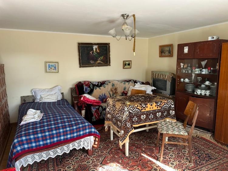 Casa batrineasca cu approx 2800 mp teren, vie, pomi fructiferi, zmeura, coacăze - 9