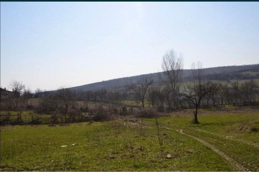 Teren de 1200 mp, în Central