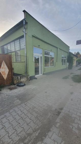 Spațiu comercial, de 100 mp, în Tileagd