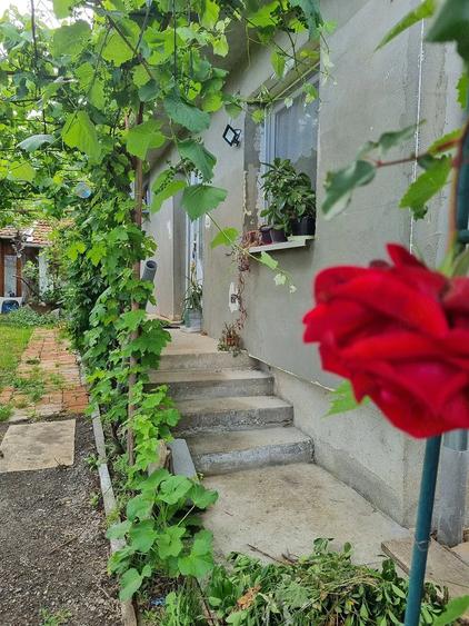 Casă cu Teren 1200 Mp în Central
