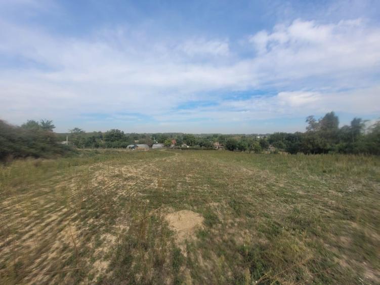 Teren agricol intravilan de 3167 mp, în Cosâmbești