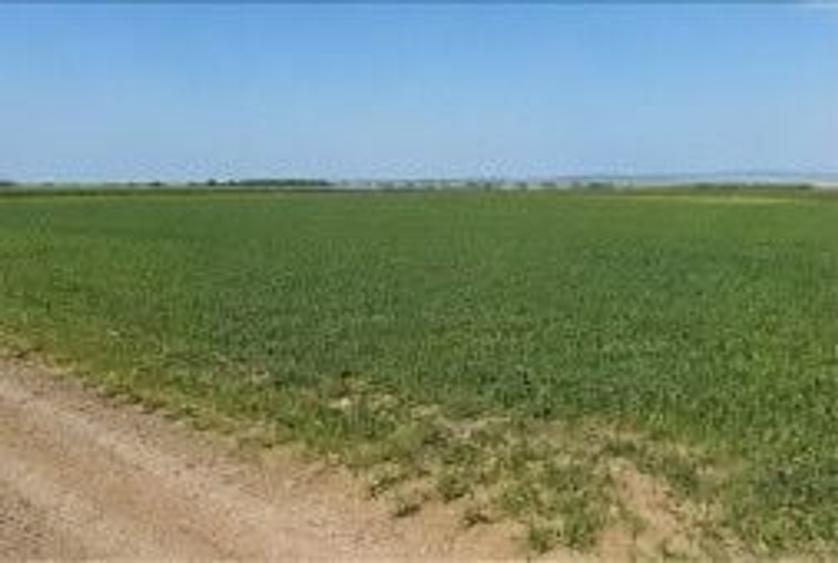 TEREN 15.000 MP LA 10 KM DE CRAIOVA-COMUNA MISCHII - 4