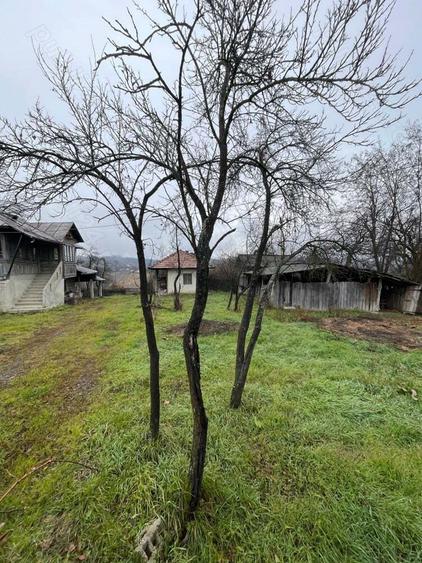 Casa batraneasca de vanzare - 3