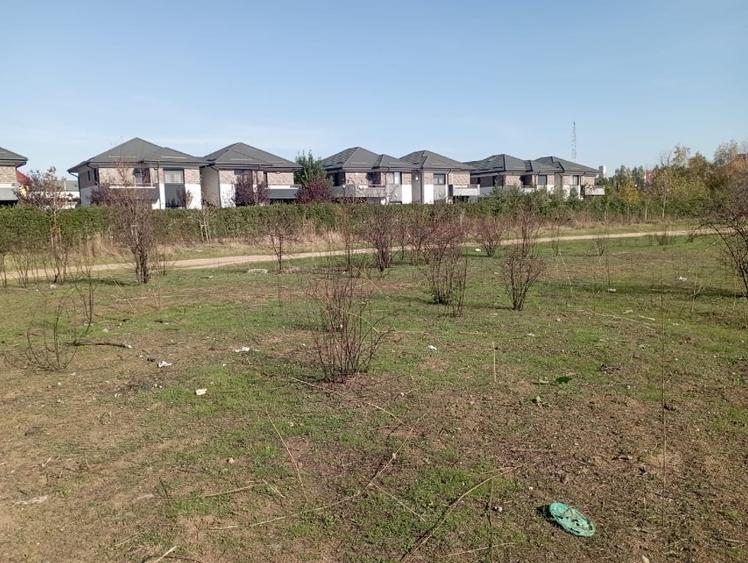 Militari ,Belsugului ,Pacii - 5