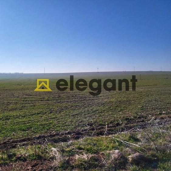 Teren 1.500 mp, deschidere 15 ml, Carcea in apropiere de VEROTHERM VILLAS - 2