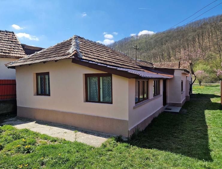 Casa de vanzare Lesnic HD - 1