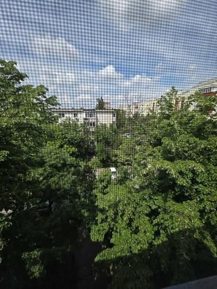 Vacaresti - Tineretului - 7