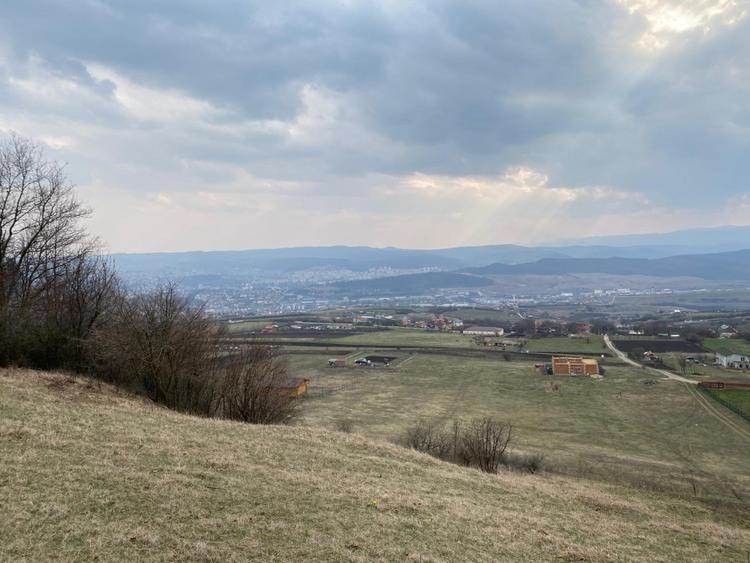 Teren 2019 mp + drum 307 mp, Dambul Rotund, str. Lombului, langa padure! - 4