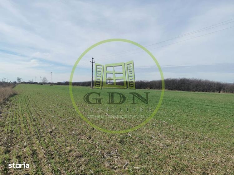 Teren extravilan de vanzare in Sacadat, 21.496 mp, cu deschidere de 42 - 4