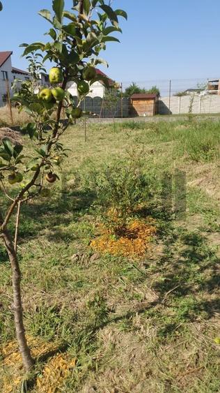 Teren intravilan, 738 mp, fs 16.5 ml, Sag - 5