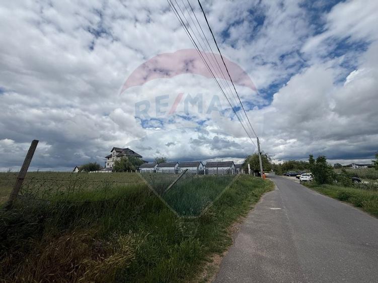 Teren intravilan de vânzare Pensiune Murighiol  Delta Dunării Tulcea - 5