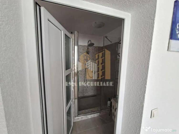 Casa individuala Ileni Fagaras Brasov - 11