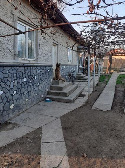 Vand casa cocheta ?i padure - 5