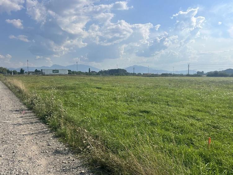 Teren 10.800 mp de vanzare - 3