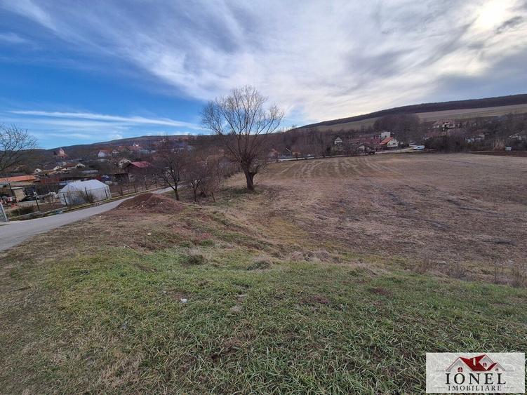 Vanzare 6336 mp teren parcelabil in Ciugud - Hapria - 3