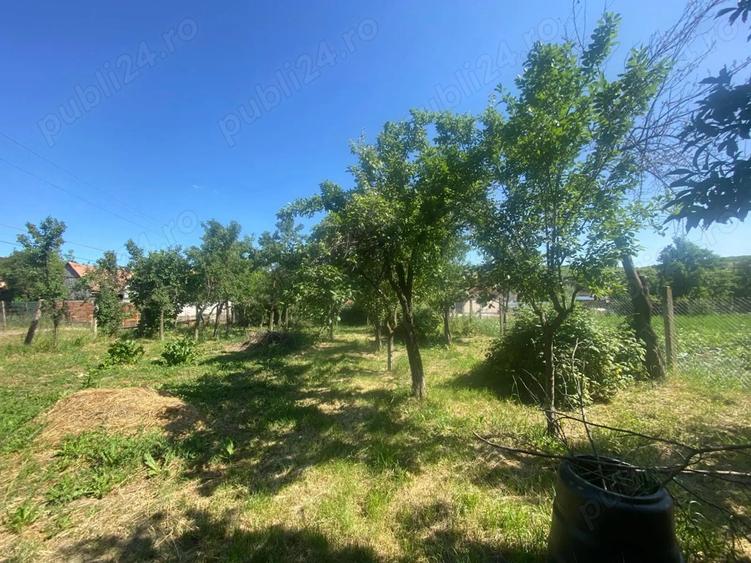 Casa 4 camere, curte individuala, 1350 mp teren, in ?ura Mare, Sibiu - 7