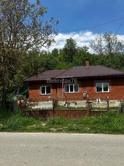 Casa tradițională restaurată Casa tradițională restaurată