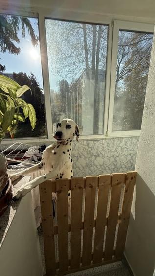 Apartament cu 3 camere, de 65mp zona Complex Diana/Gheorgheni - 9