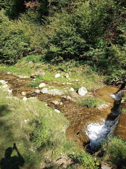 Teren de cabana pe Valea Recii( sat Strungari) - 1