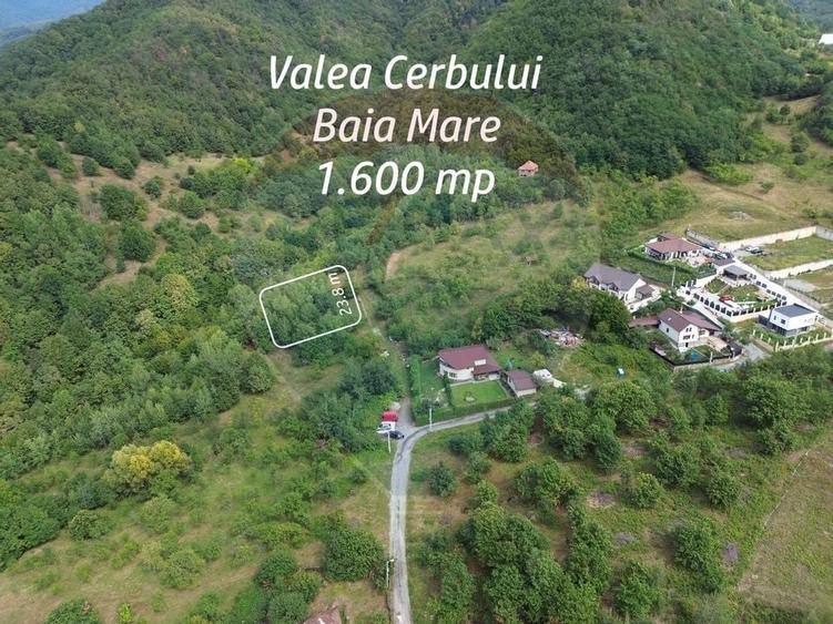 TEREN cu priveliste- Valea Cerbului - 1