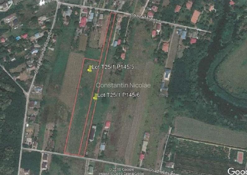 Teren 15840 mp Deaschidere 55 ml Silistea Snagovului De V... Teren 15840 mp Deaschidere 55 ml Silistea Snagovului De V...