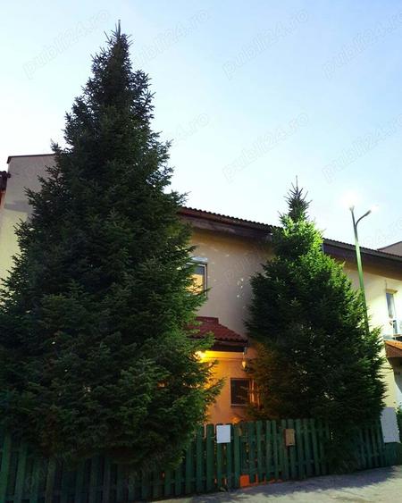 Vila P+1,garaj Pipera Cartier Azur 1 - 4