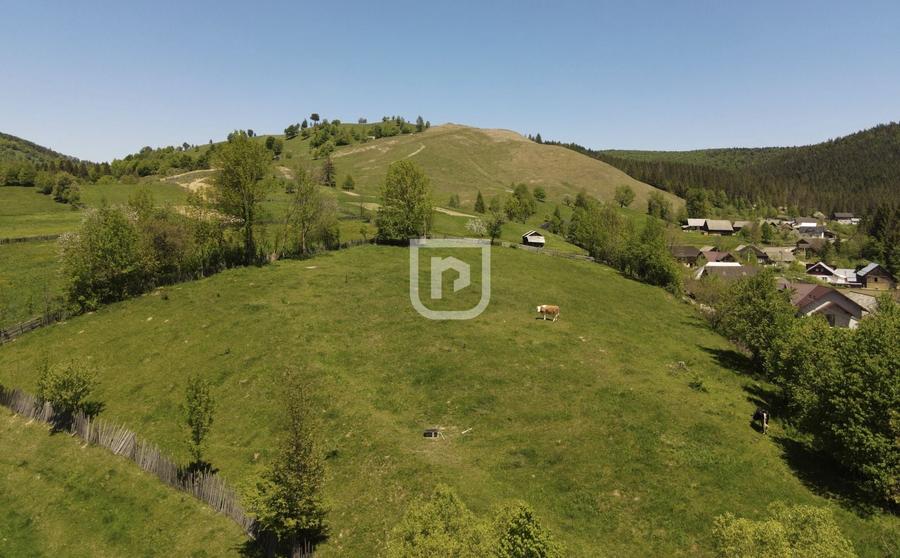 Parcelez teren 6514mp intravilan Manastirea Humorului - 1