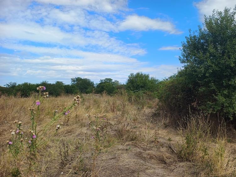 Teren Intravilan de vanzare-Sector 5 Bucuresti - 4