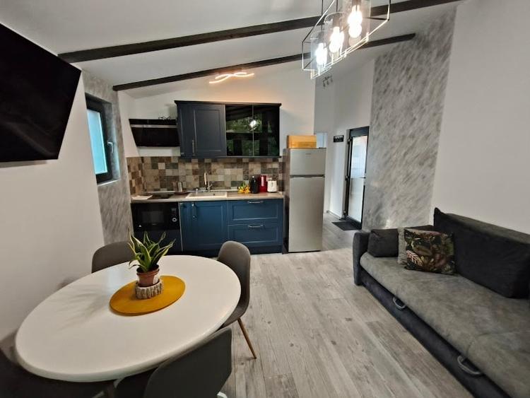 Casa P de vanzare in Busteni, constructie 2023 - comision 0% - 3