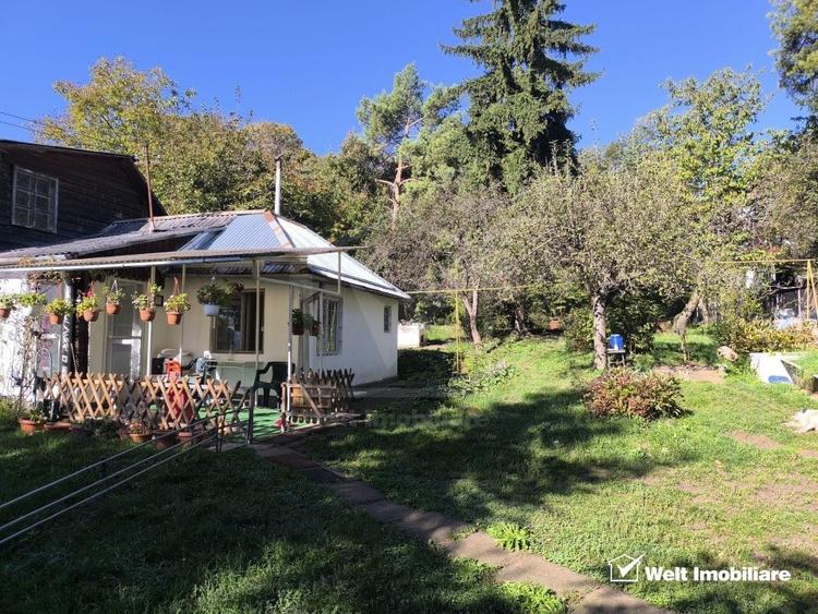 Casa veche, 3 camere, 978 m.p. teren, Grigorescu, locatie de vis - 2