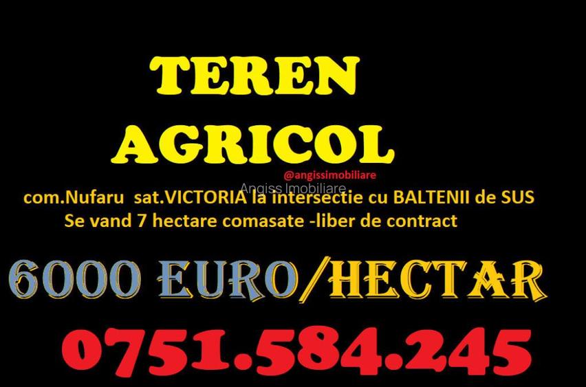 Teren AGRICOL categoria A- com Nufaru sat Victoria Teren AGRICOL categoria A- com Nufaru sat Victoria