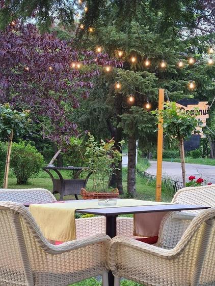 Spatiu comercial de vanzare pentru restaurant | Parcul Herastrau - 4