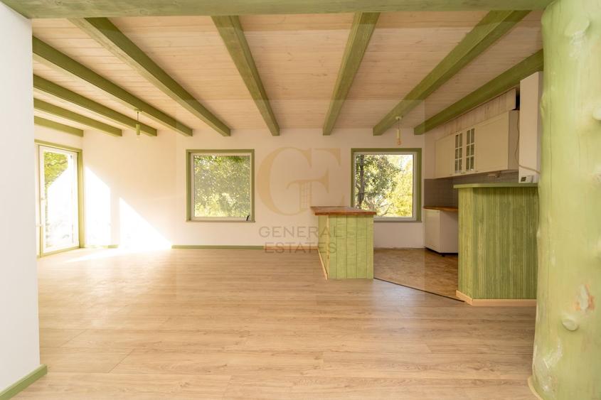 Casa de vacanță din Tohănița &acirc; locul unde muntele &icirc;nt&acirc;lnește liniștea - 4