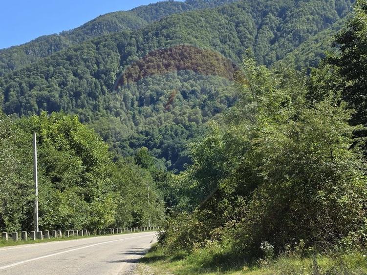 Teren 4,000mp Pascoaia / Soseaua Punctul Chiliilor - 13