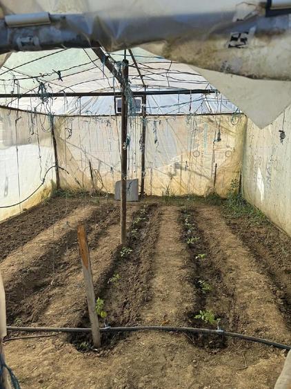 Casa si teren POTMEL?U ( CRAIOVA )1200 MP , la strada - 10