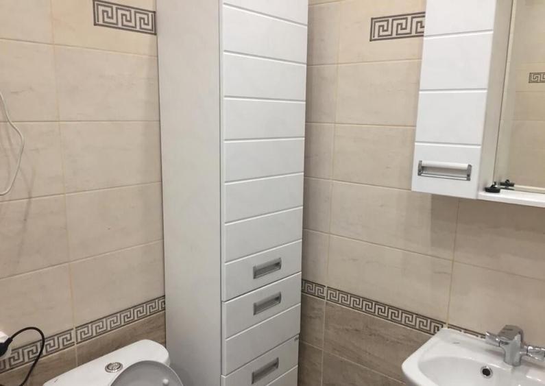 Apartament 1 camera de inchiriat in zona Someseni - 2