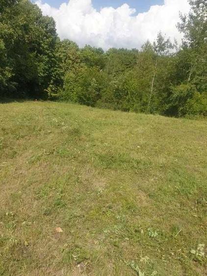 Vand teren intravilan la Seciu - 1