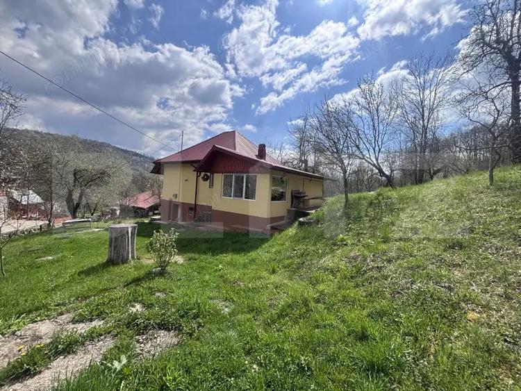 Oaza de lini?te in inima naturii casa de vacan?a sau business - 11